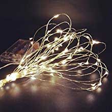 20 Led Warm White String Lights on Bendable Copper Wire with Battery Pack