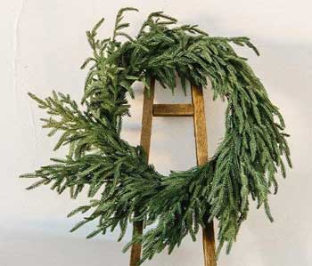 Real-Looking Artificial Norfolk Pine Wreath  24 inches Acroess