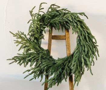 Real-Looking Artificial Norfolk Pine Wreath 24 inches Acroess