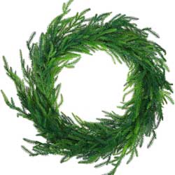 Norfolk pine wreath